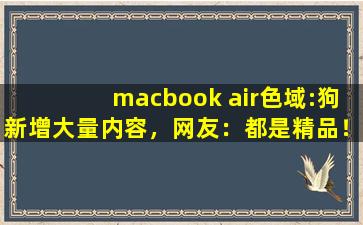 macbook air色域:狗新增大量内容，网友：都是精品！